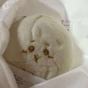 ヒメ日記 2024/12/15 11:16 投稿 かや 松戸おかあさん