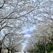 ヒメ日記 2025/04/07 09:49 投稿 かや 松戸おかあさん