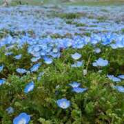 ヒメ日記 2025/04/01 22:29 投稿 まなみ Lesson.1沖縄校