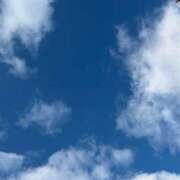 ヒメ日記 2025/01/21 08:38 投稿 日野樹 五十路マダム　和歌山店