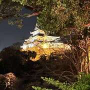 ヒメ日記 2025/03/28 12:34 投稿 日野樹 五十路マダム　和歌山店