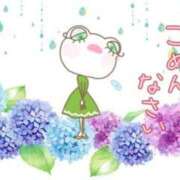 ヒメ日記 2025/06/03 10:48 投稿 日野樹 五十路マダム　和歌山店