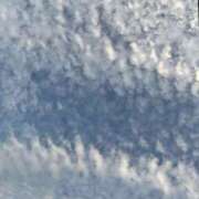 ヒメ日記 2025/11/18 07:06 投稿 日野樹 五十路マダム　和歌山店