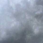 ヒメ日記 2025/11/19 09:14 投稿 日野樹 五十路マダム　和歌山店