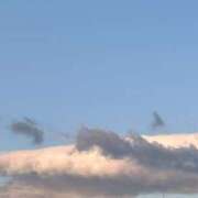 ヒメ日記 2025/11/26 07:32 投稿 日野樹 五十路マダム　和歌山店