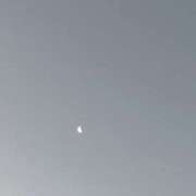 ヒメ日記 2026/01/12 07:04 投稿 日野樹 五十路マダム　和歌山店