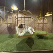 ヒメ日記 2025/11/01 21:57 投稿 エリ Wonder7 (ワンダー7)