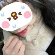 ヒメ日記 2025/02/13 17:54 投稿 水樹もえ メルビス＆アトリアーナ