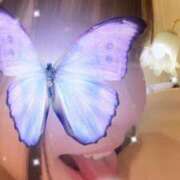 ヒメ日記 2025/08/16 20:27 投稿 南乃　きい OL精薬