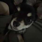 ヒメ日記 2025/08/18 20:54 投稿 南乃　きい OL精薬