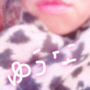 ヒメ日記 2026/02/18 10:55 投稿 葵ゆうな 恋する奥さん 西中島店