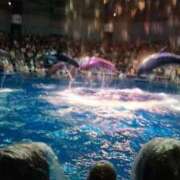 ヒメ日記 2025/09/21 14:32 投稿 れんげ 丸妻 新横浜店