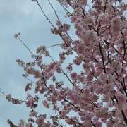 ヒメ日記 2025/04/06 05:47 投稿 あやみ 奥様電車