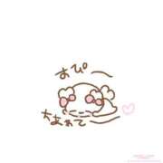 ヒメ日記 2025/07/20 04:33 投稿 るるな【責め好きモデル系美女】 STELLA TOKYO－ステラトウキョウ－