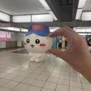 ヒメ日記 2025/08/05 19:17 投稿 るるな【責め好きモデル系美女】 STELLA TOKYO－ステラトウキョウ－