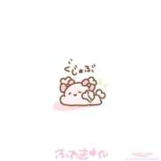 ヒメ日記 2026/02/18 08:18 投稿 るるな【責め好きモデル系美女】 STELLA TOKYO－ステラトウキョウ－