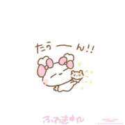 ヒメ日記 2026/02/18 13:39 投稿 るるな【責め好きモデル系美女】 STELLA TOKYO－ステラトウキョウ－