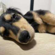 ヒメ日記 2025/04/23 02:52 投稿 まりな Number Five 品川（シンデレラグループ）