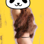 ヒメ日記 2025/07/30 09:19 投稿 あおい DANKAN（ダンカン）