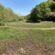 ヒメ日記 2025/04/27 08:53 投稿 あおい ライラック