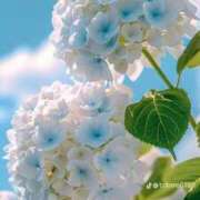 ヒメ日記 2025/06/17 12:07 投稿 世良 熟女の風俗最終章 新横浜店