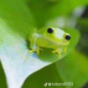 ヒメ日記 2025/10/01 12:56 投稿 世良 熟女の風俗最終章 新横浜店