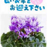 ヒメ日記 2025/12/31 18:36 投稿 世良 熟女の風俗最終章 新横浜店