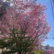 世良 ご予約いただいたお客様へのお礼です🧸💌 熟女の風俗最終章 新横浜店