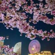 ヒメ日記 2026/03/23 17:23 投稿 世良 熟女の風俗最終章 新横浜店