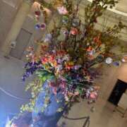 ヒメ日記 2026/10/01 23:56 投稿 世良 熟女の風俗最終章 新横浜店