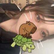 ヒメ日記 2025/07/28 17:19 投稿 いちか DOLCE