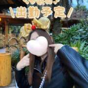 ヒメ日記 2025/02/10 18:56 投稿 みこ(11000) 原価デリヘルcospa（コスパ）