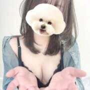 ヒメ日記 2025/02/13 21:15 投稿 凪-Nagi- Aroma Bloom（アロマブルーム）