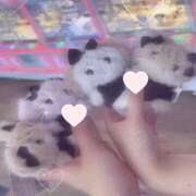 ヒメ日記 2025/07/15 11:46 投稿 春音　ゆず 妄想する女学生たち 梅田校