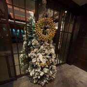 ヒメ日記 2024/12/25 04:41 投稿 ゆりあ 白金プラチナ(ユメオト)