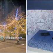 ヒメ日記 2024/12/26 02:38 投稿 ゆりあ 白金プラチナ(ユメオト)