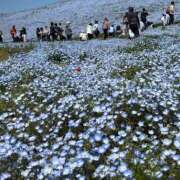 ヒメ日記 2025/05/26 23:43 投稿 ゆりあ 白金プラチナ(ユメオト)