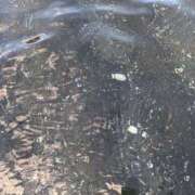 ヒメ日記 2025/08/10 16:19 投稿 あやこ もんぜつちじょ本店