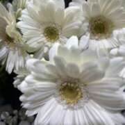 ヒメ日記 2024/12/12 17:45 投稿 さいな もんぜつちじょ本店