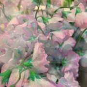 ヒメ日記 2025/01/07 17:35 投稿 さいな もんぜつちじょ本店