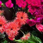 ヒメ日記 2025/01/16 17:55 投稿 さいな もんぜつちじょ本店