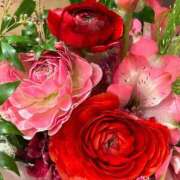 ヒメ日記 2025/01/23 17:45 投稿 さいな もんぜつちじょ本店