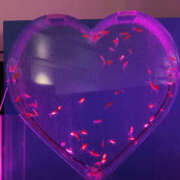 ヒメ日記 2025/02/11 17:25 投稿 さいな もんぜつちじょ本店