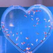 ヒメ日記 2025/02/12 18:06 投稿 さいな もんぜつちじょ本店