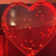 ヒメ日記 2025/02/13 17:05 投稿 さいな もんぜつちじょ本店