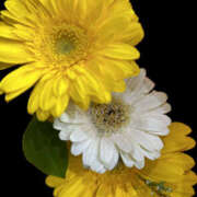 ヒメ日記 2025/03/11 17:45 投稿 さいな もんぜつちじょ本店