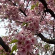 ヒメ日記 2025/03/27 17:39 投稿 さいな もんぜつちじょ本店