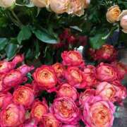 ヒメ日記 2025/04/12 17:59 投稿 さいな もんぜつちじょ本店