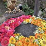 ヒメ日記 2025/05/08 16:59 投稿 さいな もんぜつちじょ本店