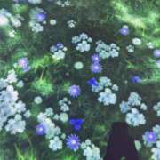 ヒメ日記 2025/05/27 18:09 投稿 さいな もんぜつちじょ本店